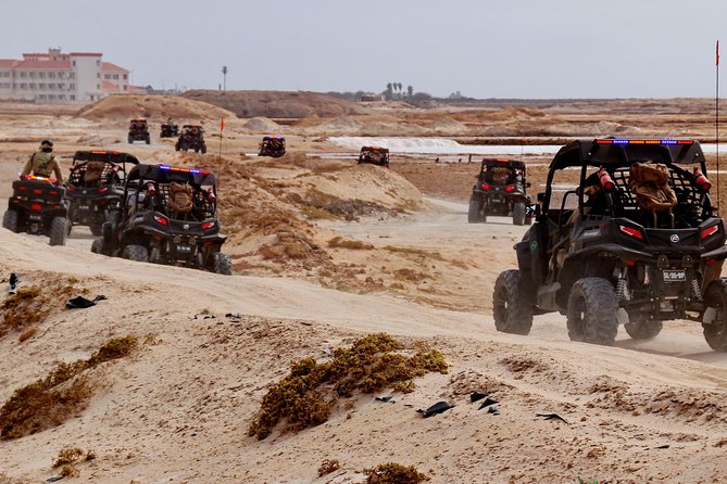 2h SSV Buggy Desert Adventure - 1000cc or 500cc - Ponta Preta and the changing volcanic shore