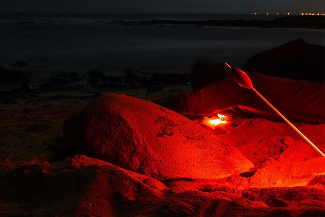 4h Turtle Watching with SSV Buggy Night 4WD - Kite Beach and the summer turtle season