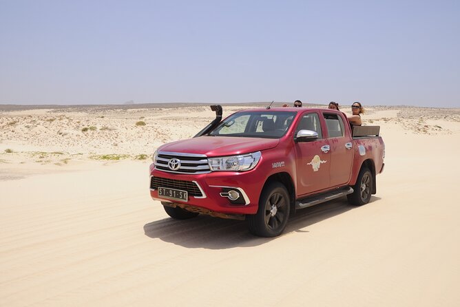4x4 Tour - Sandboard, Shark & Green Turtle's Bay, Snacks & Drinks - Shark Bay and the limits of a wildlife promise