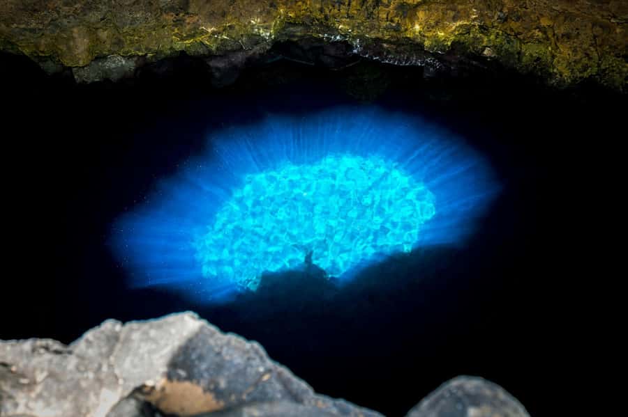 Adults Only Tour of Sal with Lobster Lunch and Salt Lake - Pedra da Lume: floating inside an extinct volcano