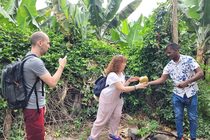 Banana Plantation / Black Sand Beach Experience - Key points to know before booking