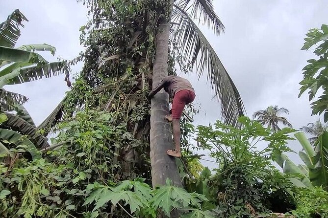 Banana Plantation / Black Sand Beach Experience - Why this half-day trip feels different from a city tour
