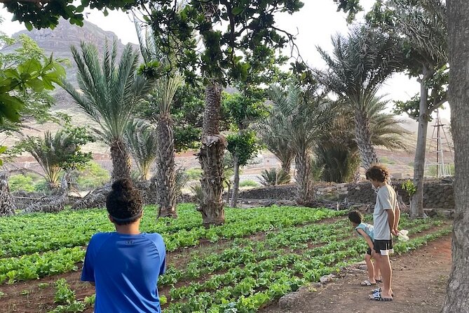 Beaches, Villages and Monte Verde, São Vicente Excludes City - Guides, group size, and the feel of the day