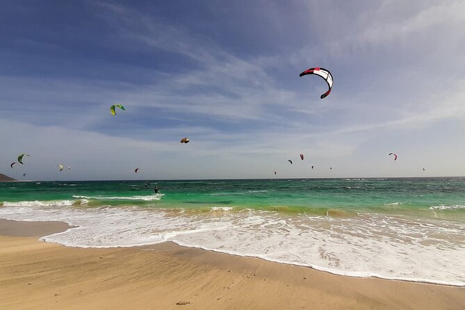 BEST VALUE small group island tour w/SHARK experience & salt lake - Terra Boa and Sal’s desert mirage