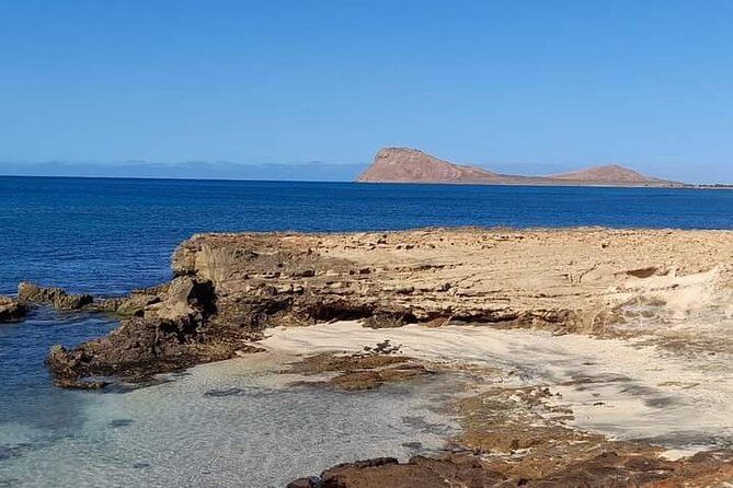 BEST VALUE small group island tour w/SHARK experience & salt lake - Shark Bay and the lemon sharks