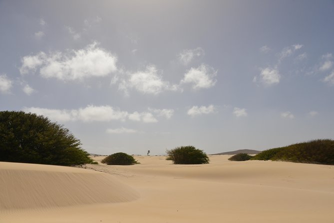 Big Boa Vista Exclusive Tour - Morro d’Areia turns the road into a desert adventure