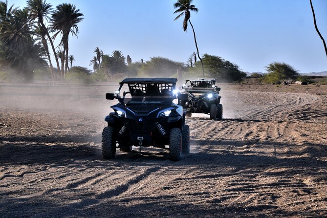 Boa Vista 2h Buggy Death Valley Adventure 1000cc - How Much Value Do You Get for $150.99?