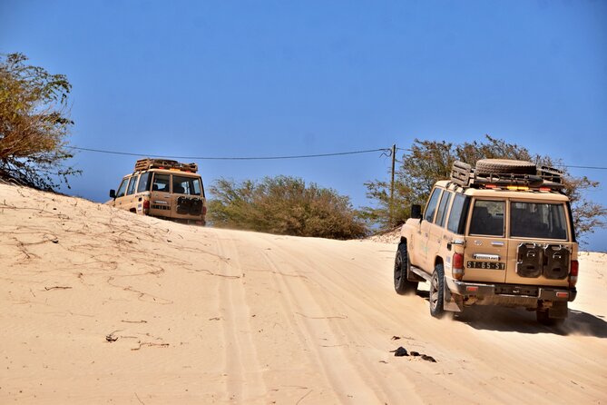 Boa Vista: 4h North Jeep Expedition Off-Road - Cabo Santa Maria and the 1968 shipwreck