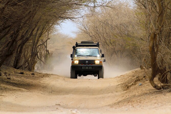 Boa Vista: 4h North Jeep Expedition Off-Road - Via Pitoresca, where the road becomes the attraction