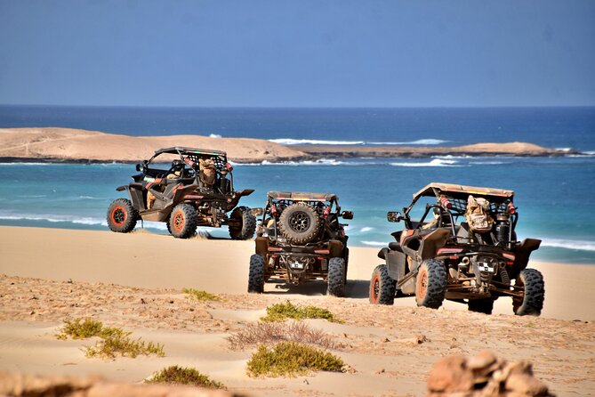 Boa Vista 4h South Buggy Adventure 1000cc - Key points to know before you book