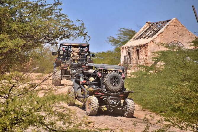 Boa Vista 4h South Buggy Adventure 1000cc - Starting at 9:00 a.m. in Sal Rei