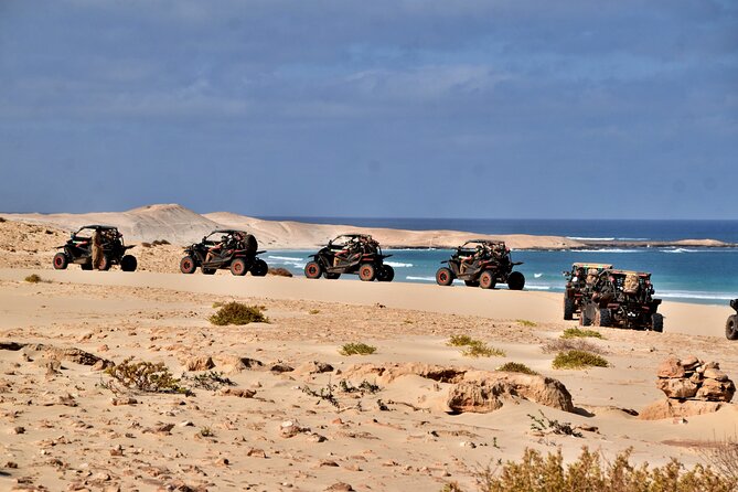 Boa Vista 4h South Buggy Adventure 1000cc - Praia de Verandinha and its natural arch