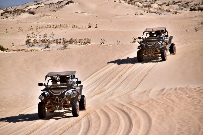 Boa Vista 4h South Buggy Adventure 1000cc - Santa Monica Beach, the grand coastal stop