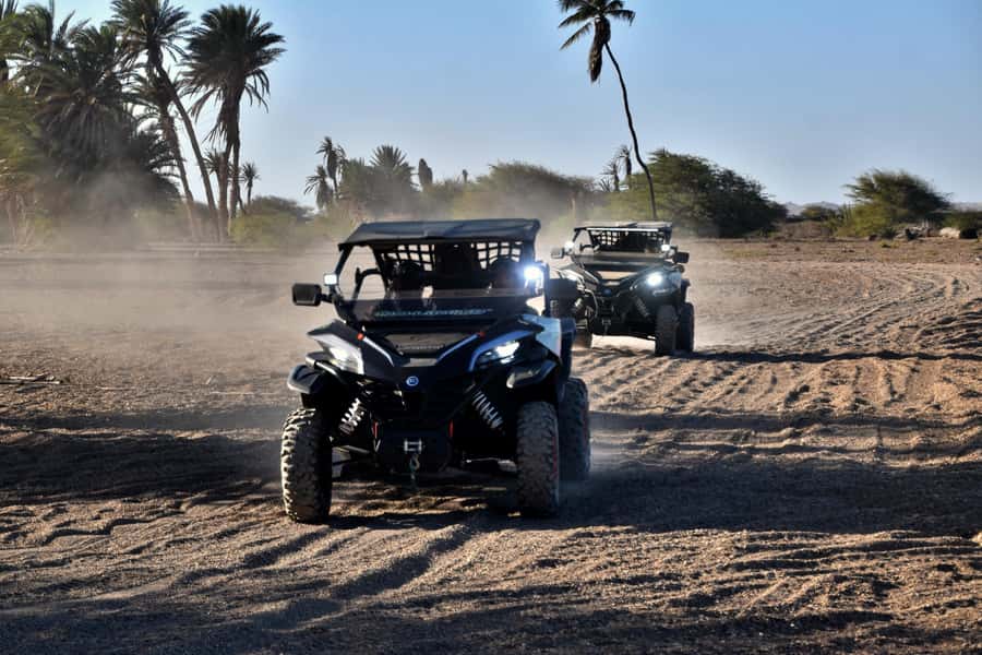 Boa Vista Buggy Tour: Death Valley Adventure (2-Hour) - The oasis stop gives the route a surprise