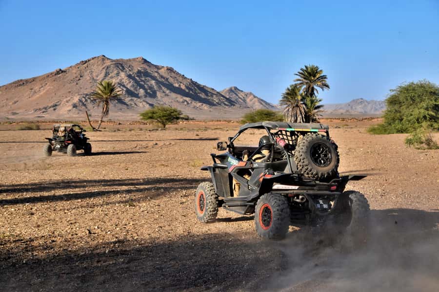 Boa Vista Buggy Tour: Death Valley Adventure (2-Hour) - Who will enjoy this ride most
