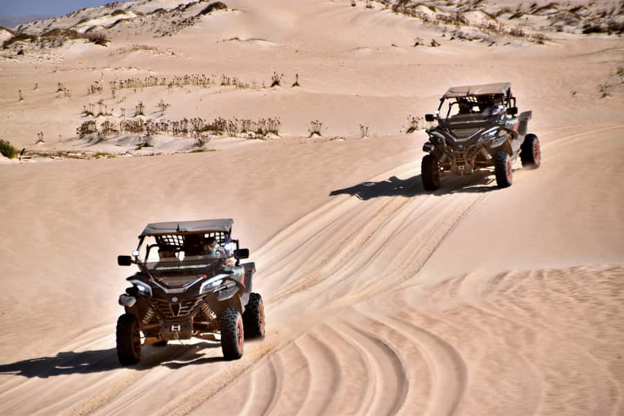 Boa Vista Buggy Tour: Santa Monica & South Desert (4-Hour) - Why this four-hour route works