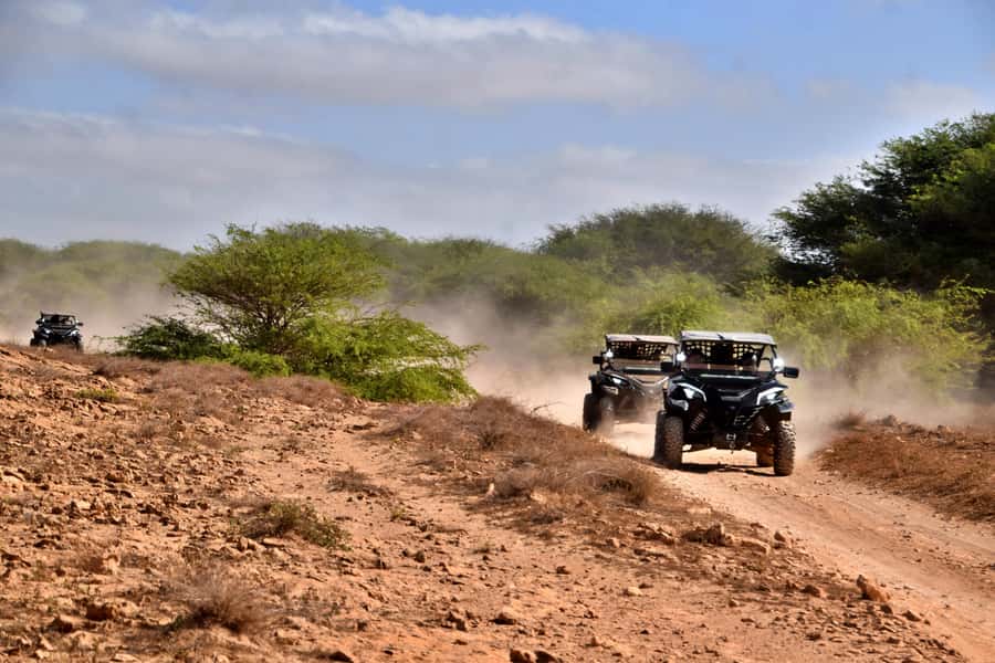Boa Vista Buggy Tour: Santa Monica & South Desert (4-Hour) - Curral Velho’s ruins and the final stop at Fonte Vicente
