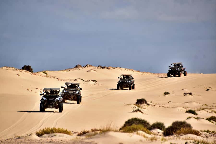 Boa Vista Buggy Tour: Santa Monica & South Desert (4-Hour) - What the buggy driving is really like