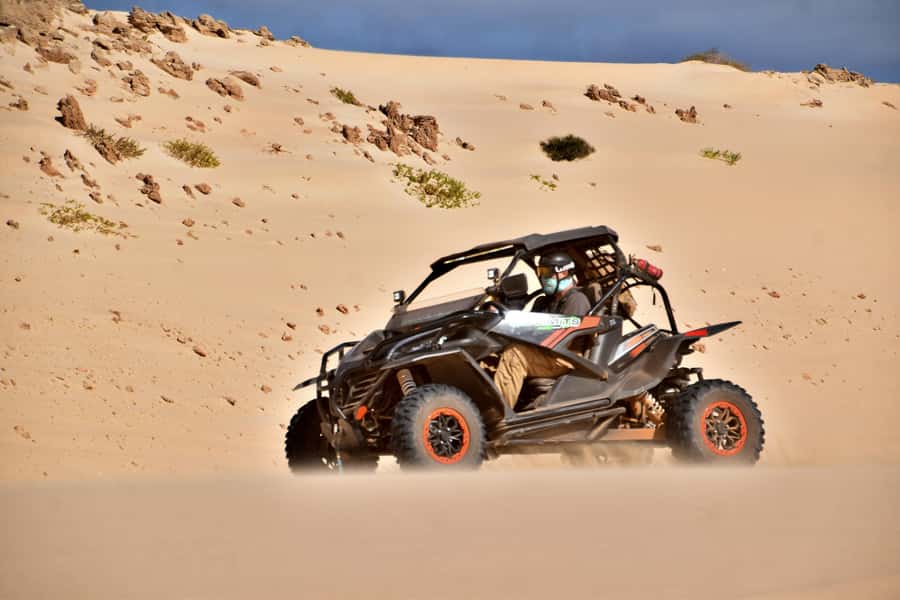 Boa Vista Buggy Tour: Santa Monica & South Desert (4-Hour) - Price, group size, and overall value