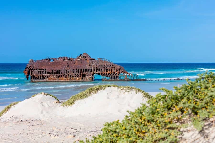 Boa Vista Full Day 4x4 Island Tour with Beachfront Lunch - Timing, pickup, and comfort