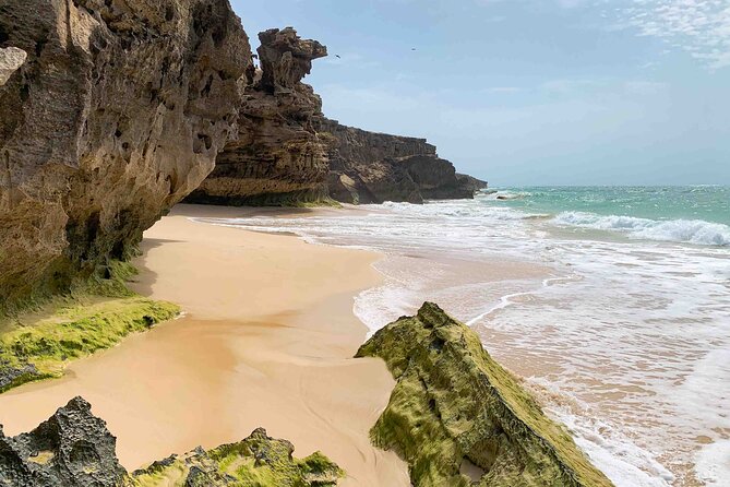 Boa Vista Island: Full Day North to South Discovery - Key points before you book