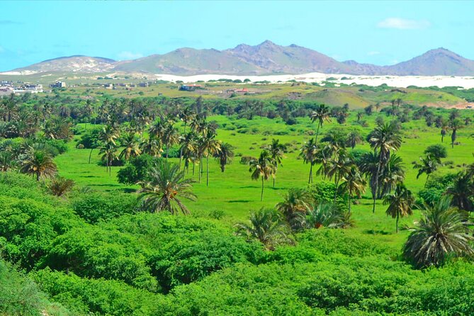 Boa Vista Island: Full-Day Wild Beaches & Viana Desert Experience - João Barrosa and the off-road ride to the coast
