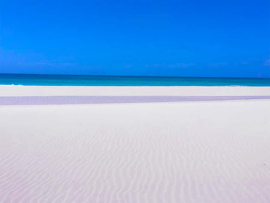 Boa Vista Island: Guided Santa Monica Beach & Caves Tour - The highlights at a glance
