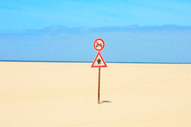 Boa Vista Island: Half-day Northern Tour + Viana Desert Adventure - What the Private Format Really Adds