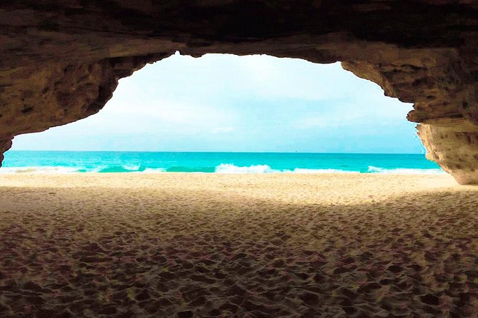 Boa Vista Island: Half-day Quad Tour to Santa Monica Beach - What the $64 price really buys you
