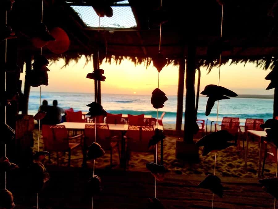Boa Vista: Lobster Lunch at Santa Monica Beach - What you can expect from the charcoal-grilled meal