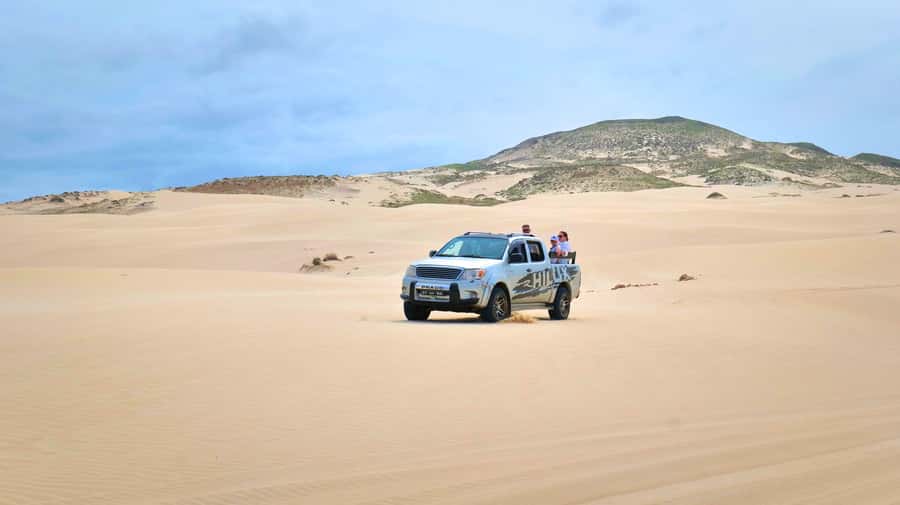 Boa Vista: Shark, Turtles, Cave, Sandboarding & Tasting Tour - Why this four-hour tour works so well