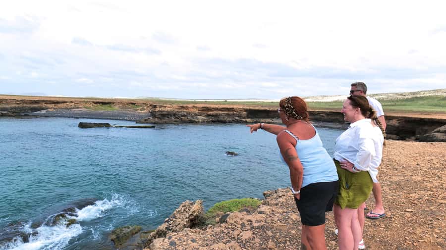 Boa Vista: Shark, Turtles, Cave, Sandboarding & Tasting Tour - Santa Monica Beach, Boa Vista’s big pause