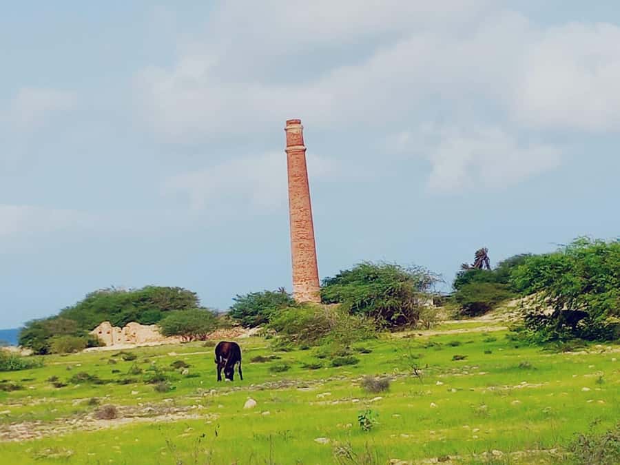 Boa Vista: Shipwreck, 4x4 Ride & Caves Day Tour with Lunch - How the day feels in practice