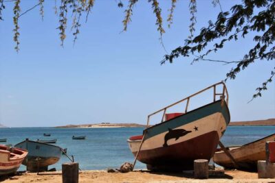 Shipwreck, Viana Desert & Sal Rei Tour