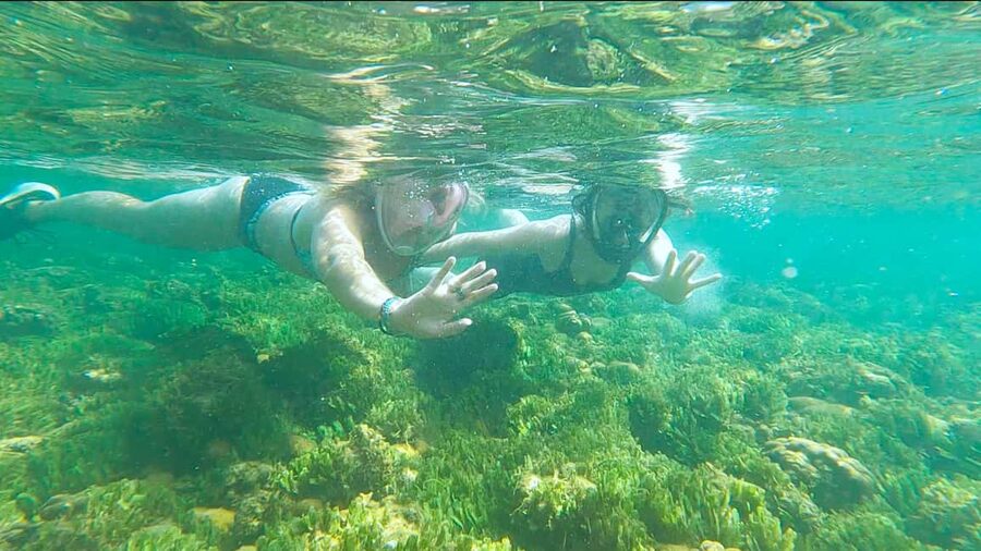 Boa Vista: Snorkeling at Gatas Bay & North East Tour - Starting the day in a small pickup truck