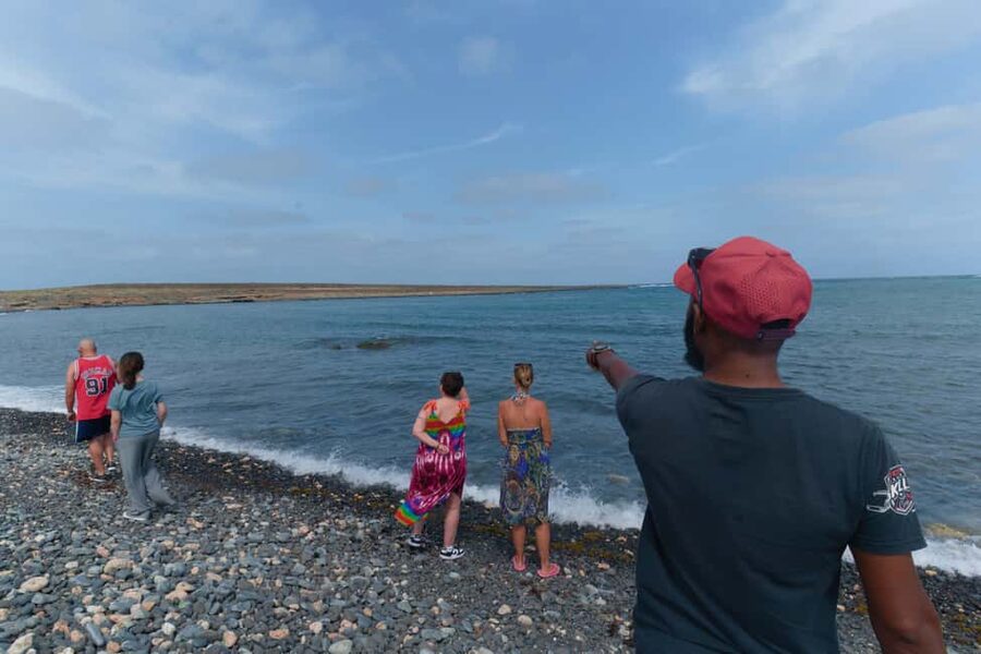 Boa Vista: Snorkeling at Gatas Bay & North East Tour - The guides can make or break the day