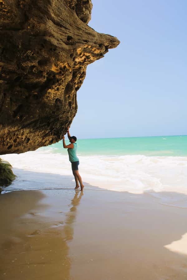 Boa Vista South in Half a Day - Key points to know before booking