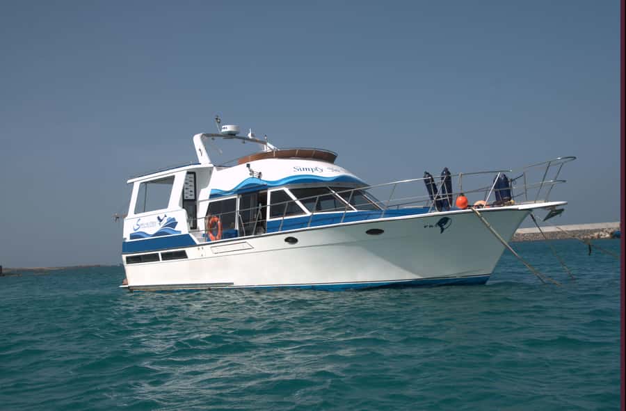 Boa Vista: Whale Watching Trip with Motoryacht - What the $94 price really buys you
