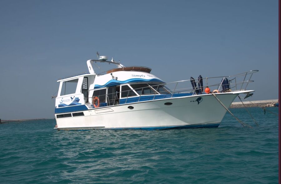 Boa Vista: Whale Watching Trip with Motoryacht - Small-group wildlife watching, not a sightseeing cruise