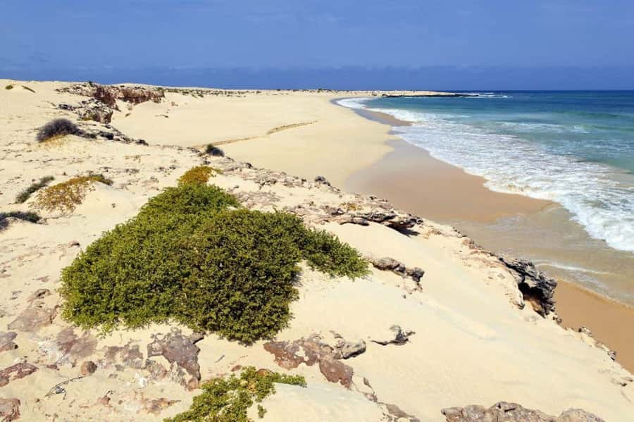 Boavista: 4h Shipwreck, Desert, Fatima Chapel & Pottery Tour - Key points to know before you book