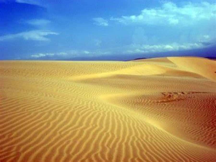 Boavista: 4h Shipwreck, Desert, Fatima Chapel & Pottery Tour - Why this four-hour route works well