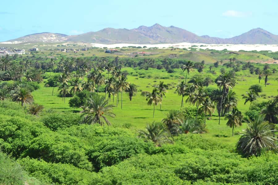 Boavista: Rabil, Shipwreck, City, Snacks & Drinks - 4x4 Tour - Key points at a glance