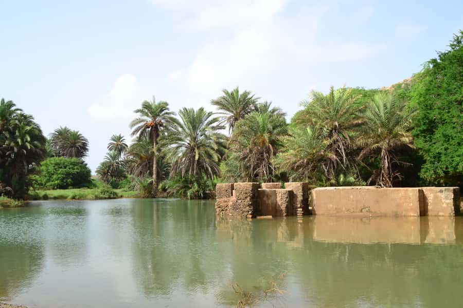 Boavista: Rabil, Shipwreck, City, Snacks & Drinks - 4x4 Tour - Guides make the difference