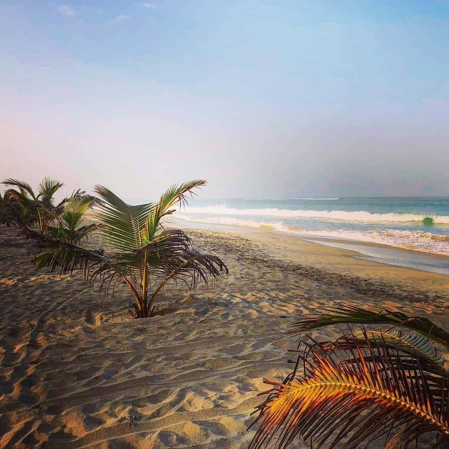 Boavista: Santa Monica beach, Varandinha cave, Sand dunes - Should you book it?