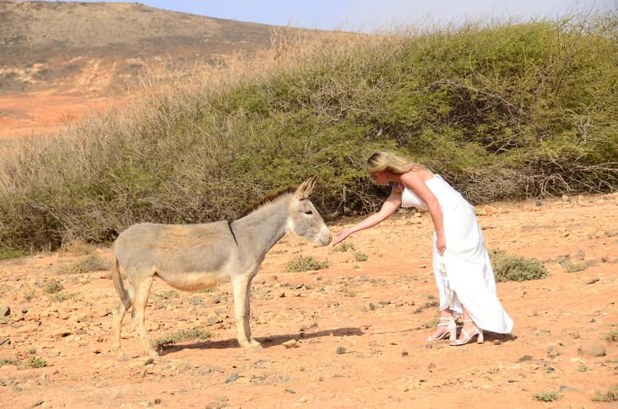Boavista: Social Media Safari; Insta Iconic Spots Tour - Why this Boa Vista photo safari is different