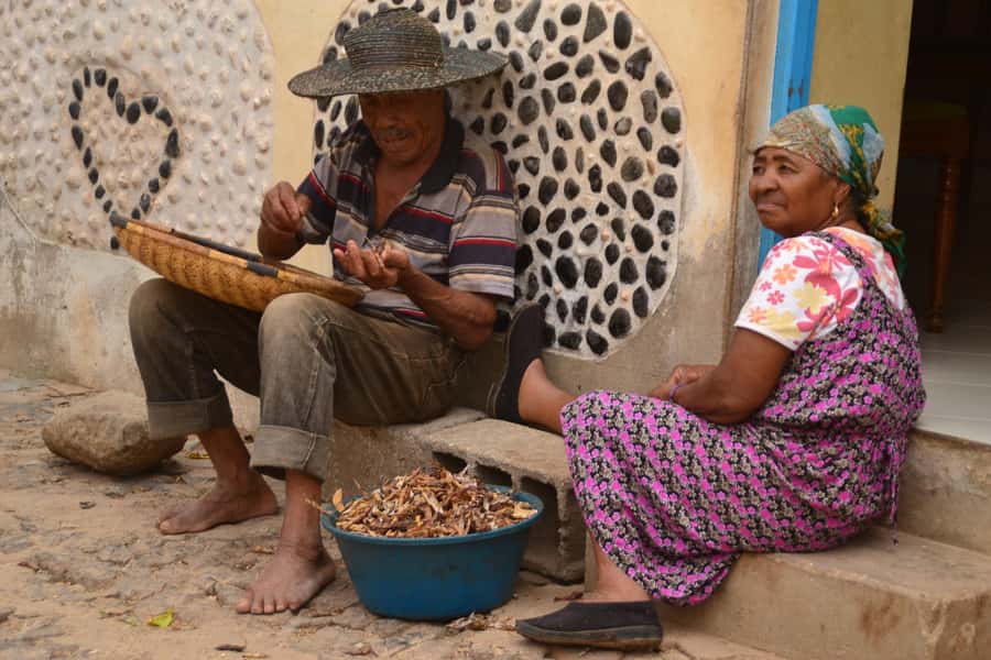 Boavista: Traditional & Local Experience Tour - What the $82 price really buys you