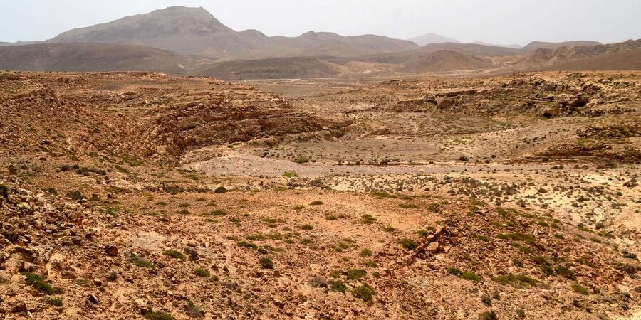 Boavista: Traditional & Local Experience Tour - Who will enjoy this Boa Vista tour?
