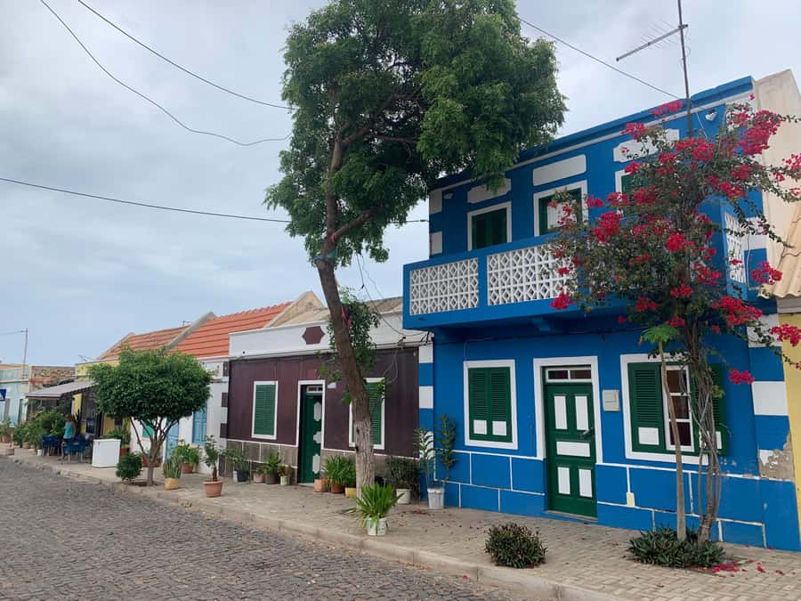 Boavista: Traditional & Local Experience Tour - Joao Galego and the island’s agricultural side
