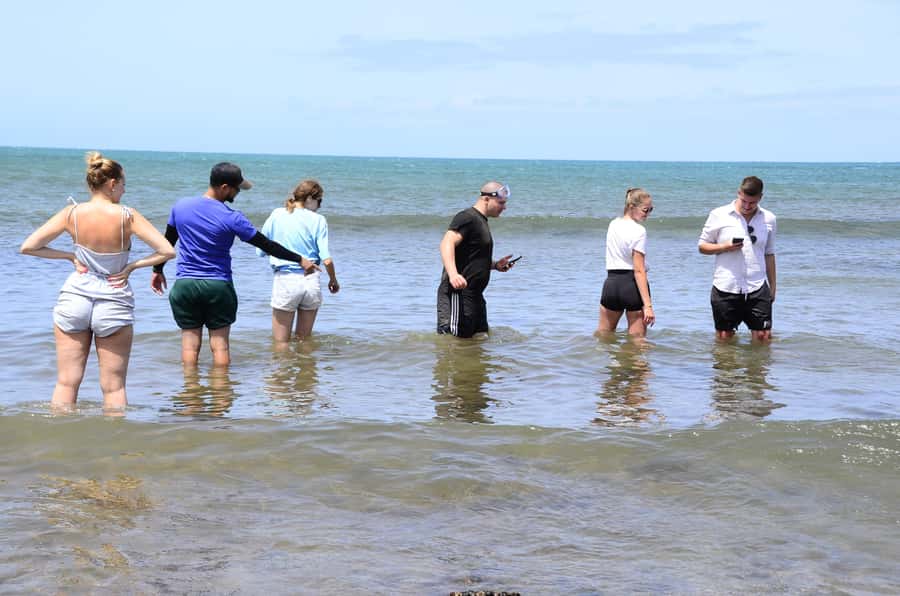 Boavista: Turtle, Shark, Santa Monica, Sandboard & Tasting - Santa Monica Beach and the fifteen-minute question
