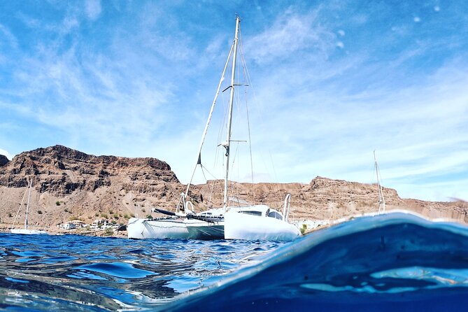 Catamaran Half Day - Beautiful day on the Atlantic Ocean - Looking for dolphins, turtles, whales, and flying fish